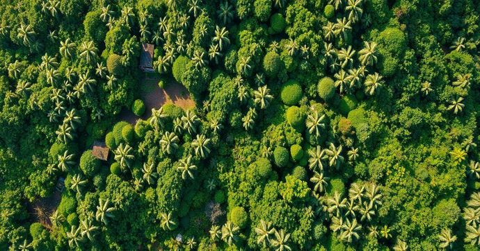 Projeto de Regularização Ambiental: Entenda o Processo